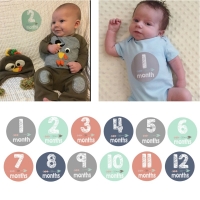 12 Pcs/Set New Baby Pregnant Women Monthly Photograph Stickers Month 112 Milestone Stickers Hot sale 2018