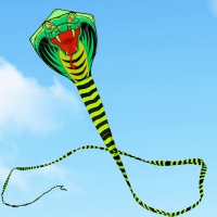 free shipping large snake kite flying line ripstop nylon fabric outdoor toys cerf volant easy open kids kites for adults rainbow