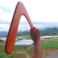 V-Shaped Boomerang Toy for Kids - Fun Outdoor Game, Funny Throw and Catch, Perfect Gift for Boys and Children of All Ages.