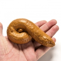 Realistic Fake Turd with Maggots - Hilarious Insect Gag Gift