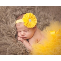 Baby Princess Tulle Tutu and Flower Headband Set for Photography and Little Girls' Skirt