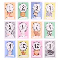 Baby Milestone Photo Cards - 12 Pack - Ideal Baby Shower Gift - Captures Baby's First Year Moments - Baby Age Cards with Beautiful Designs