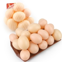 5PCS/Lot Hatching Egg Hen Poultry Hatch Breeding Simulation Fake Plastic Artificial Eggs DIY Painting Easter Egg Educational Toy