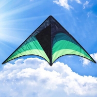 High Quality Large Delta Kites With Handle Line Outdoor Toys For Kids Kites Nylon Ripstop Albatross Outdoor Flying Kites