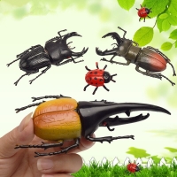 6 Style 13cm Simulation Beetle Model Toy Special Realistic Insect Model Toy Kindergarten Teaching Aid Prank Joke Tricky Toy