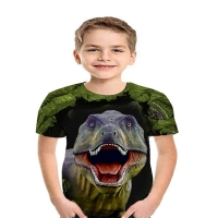 Kids Boys' Tshirt Short Sleeve 3D Print Dinosaur Color Block Animal Crewneck Children Tops Girls Summer Basic Streetwear Causal