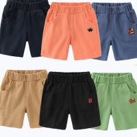 Boys' Summer Shorts - Cute Beachwear for Kids (0-6 years)