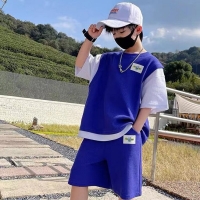 Boys' 2pc Summer Sports Outfit: Short-Sleeve Tee + Shorts