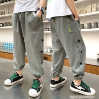 Summer Anti-Mosquito Boys Pants, Fast-Drying Sport Trousers (P4-149)