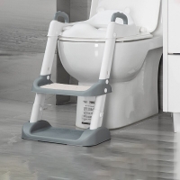 Foldable Potty Training Seat with Step Stool and Safety Chair for Toddlers