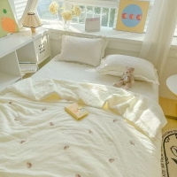 2025 New Mother And Baby Grade Double-layer Wrinkled Yarn Washed Cotton Summer Cool Quilt