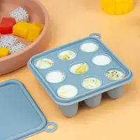 2pcs/1pc Mini-Baby Silicone Food Tray with Cover for Fruit Feeder, Teething and Feeding Tray, Breast Milk and Food Freezer Mold